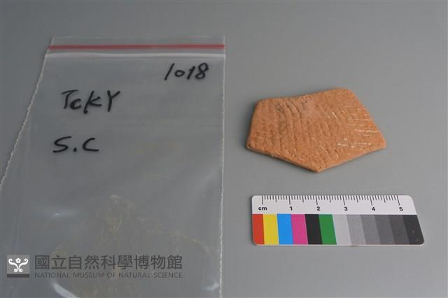 陶片藏品圖，第1張