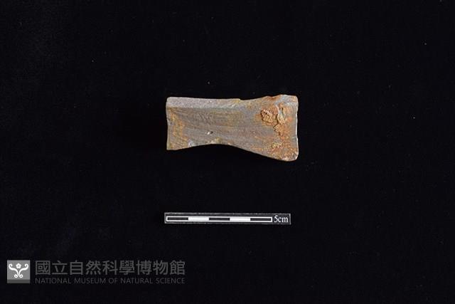 硬陶片藏品圖，第1張