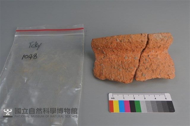 陶片藏品圖，第1張