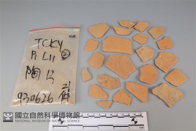 陶片藏品圖，第1張