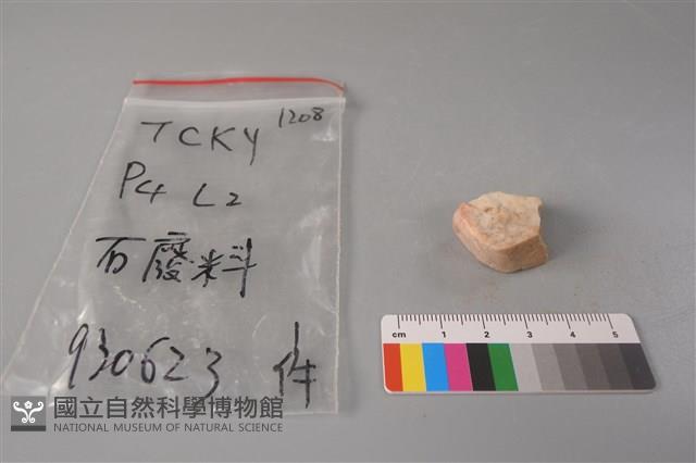 帶加工痕石材藏品圖，第1張