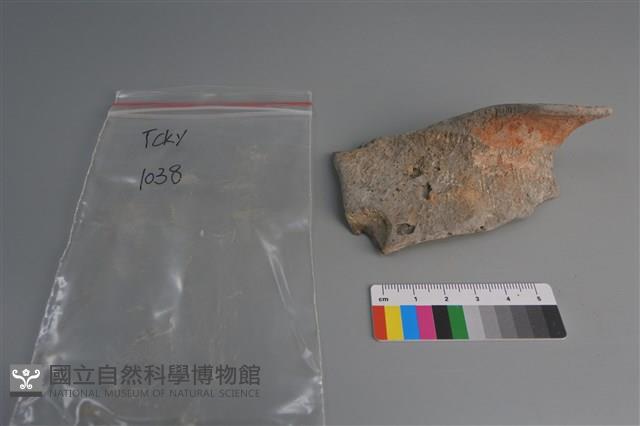 陶片藏品圖，第1張