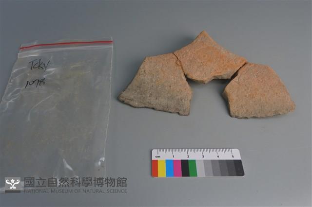 連杯形器藏品圖，第1張