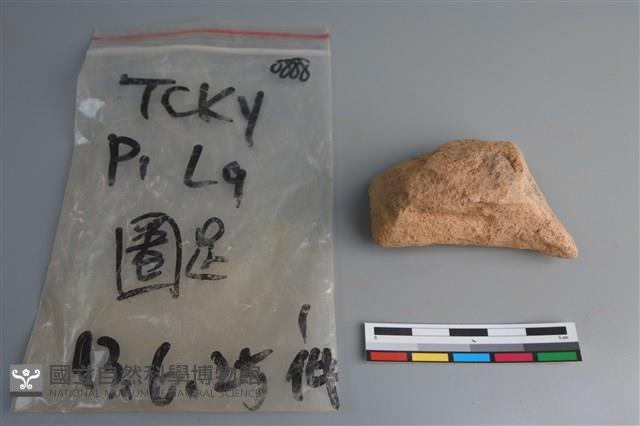 陶片藏品圖，第1張