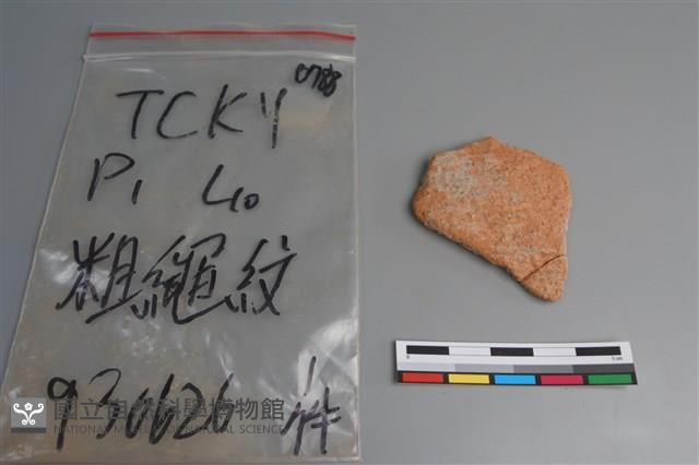 陶片藏品圖，第1張