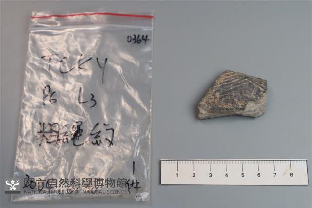 陶片藏品圖，第1張