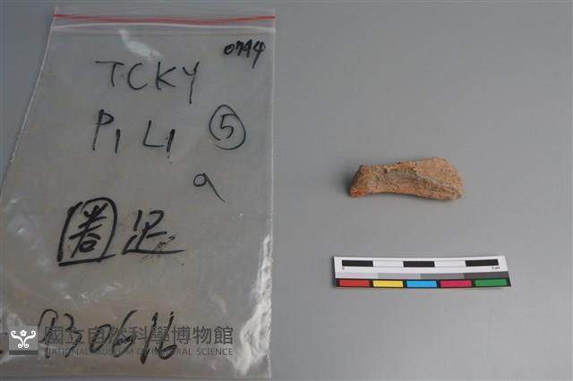 陶片藏品圖，第1張