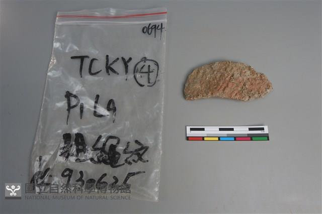 陶片藏品圖，第1張