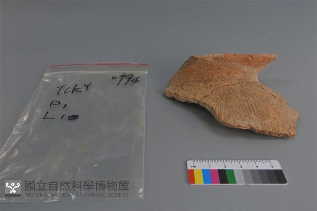 陶片藏品圖，第1張