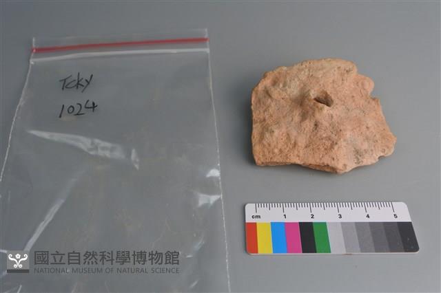 陶片藏品圖，第1張