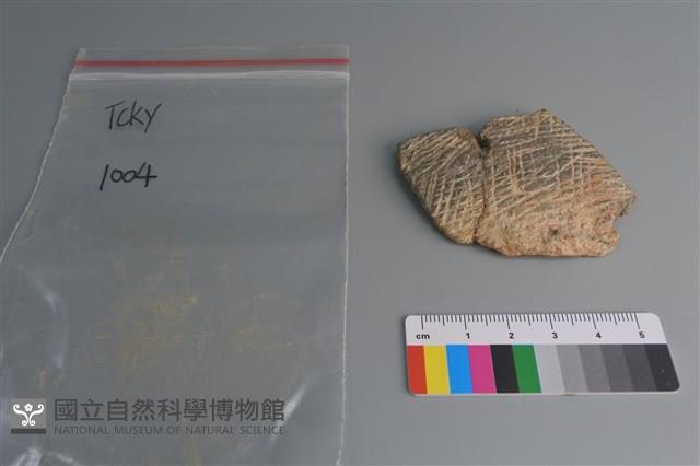 陶片藏品圖，第1張