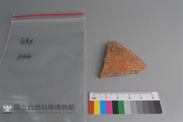 陶片藏品圖，第1張