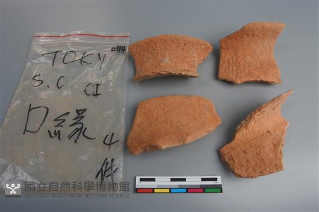 陶片藏品圖，第1張