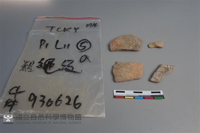 陶片藏品圖，第1張