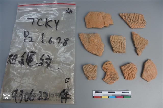 陶片藏品圖，第1張