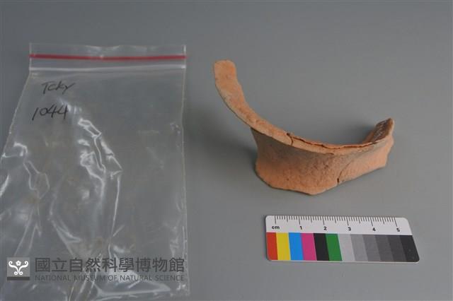 陶片藏品圖，第1張