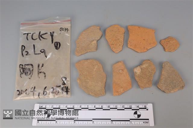 陶片藏品圖，第1張