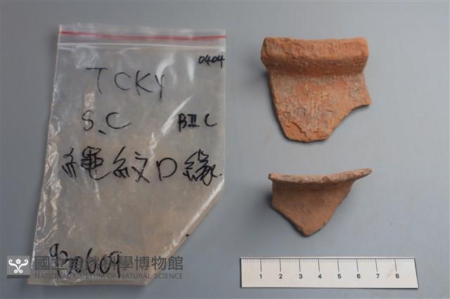 陶片藏品圖，第1張