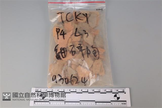 陶片藏品圖，第1張