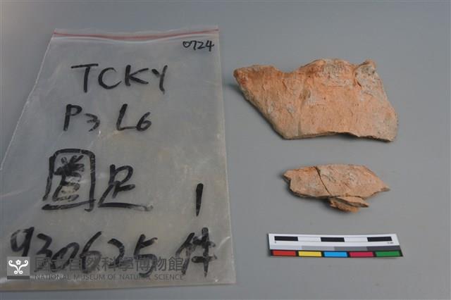 陶片藏品圖，第1張