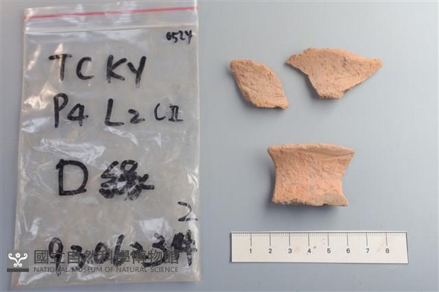 陶片藏品圖，第1張