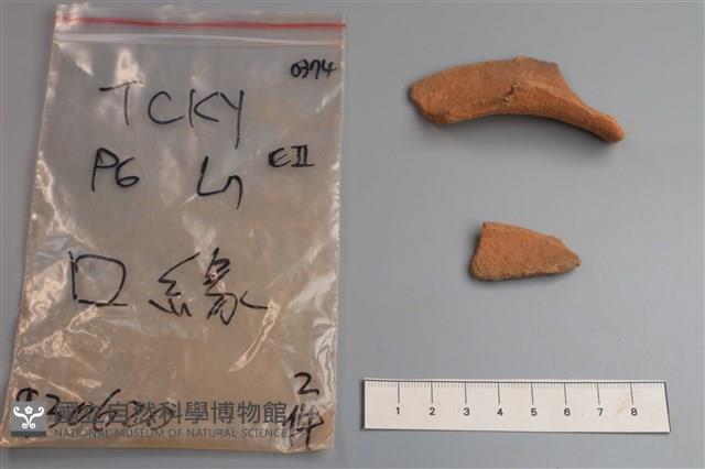 陶片藏品圖，第1張