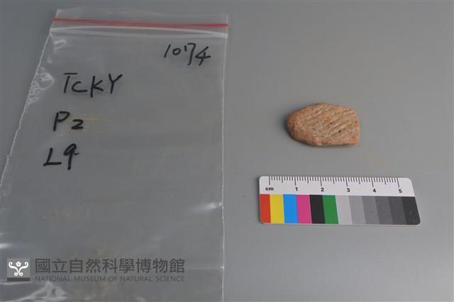 陶片藏品圖，第1張