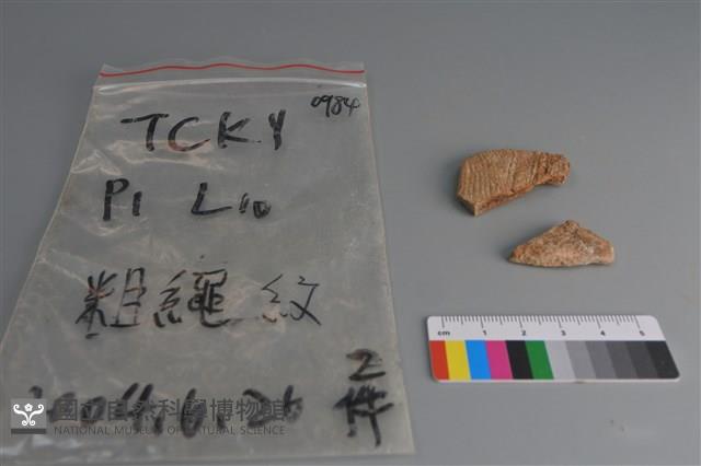 陶片藏品圖，第1張