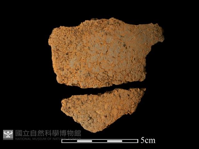 陶片(碎片)藏品圖，第2張