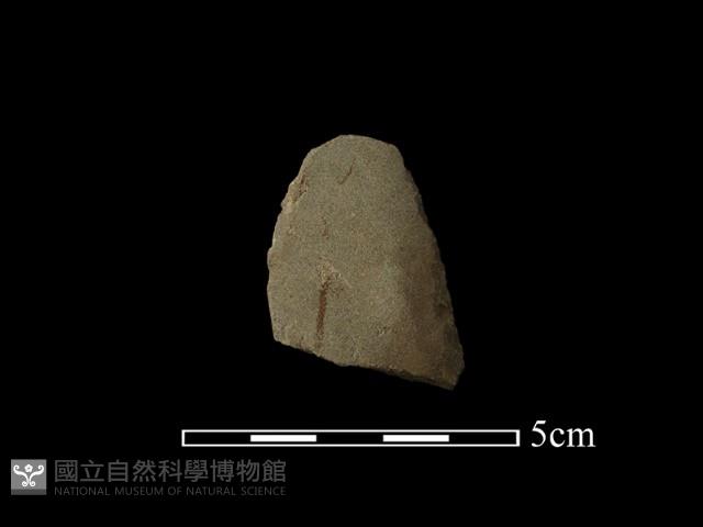 磨製石器藏品圖，第1張