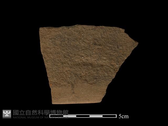 石鋸藏品圖，第2張