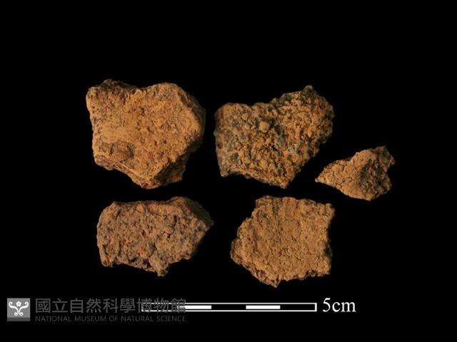 陶片(碎片)藏品圖，第1張