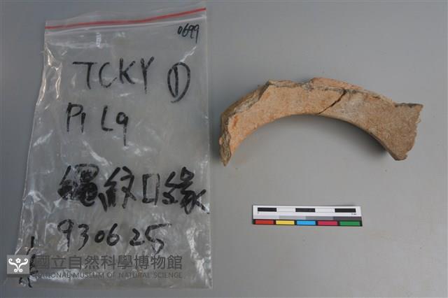 陶片藏品圖，第5張