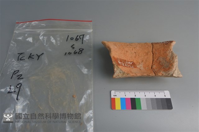 陶片藏品圖，第4張