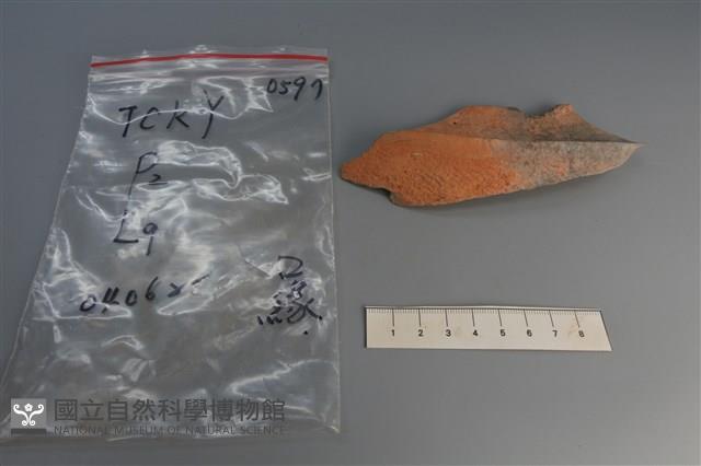 陶片藏品圖，第4張