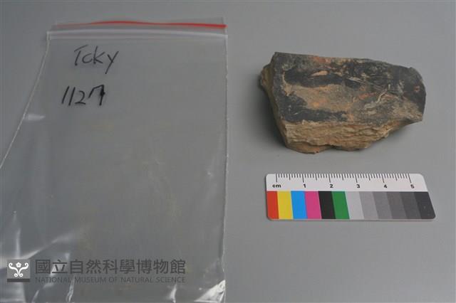 陶片藏品圖，第4張