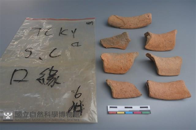 陶片藏品圖，第4張