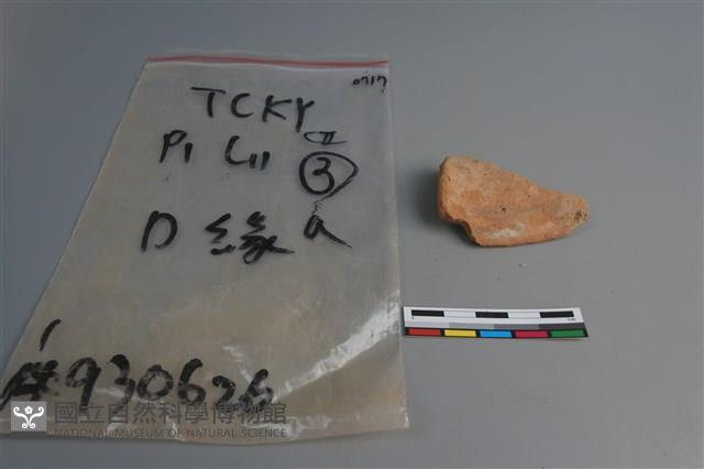 陶片藏品圖，第4張