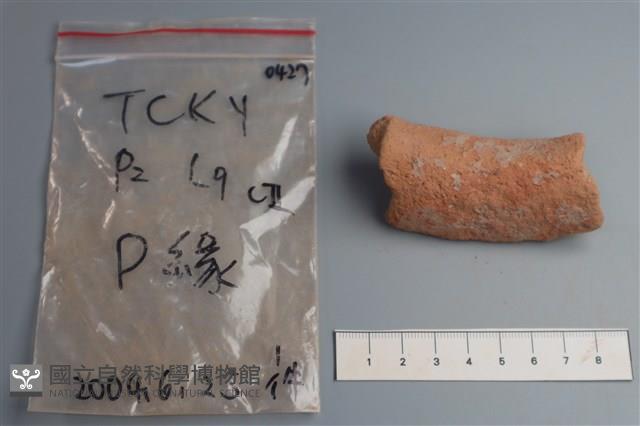 陶片藏品圖，第4張