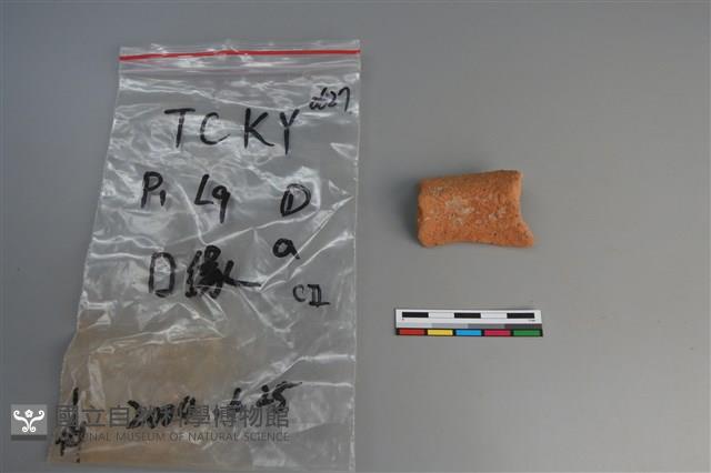 陶片藏品圖，第4張