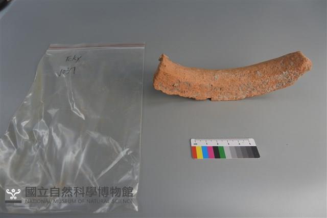 陶片藏品圖，第4張