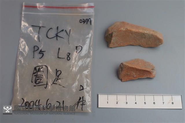 陶片藏品圖，第4張
