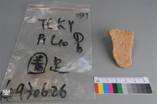 陶片藏品圖，第4張