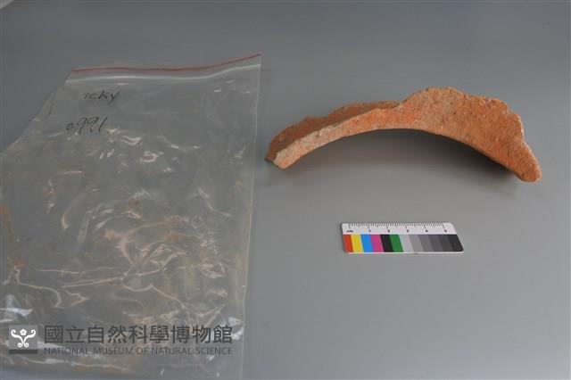 陶片藏品圖，第4張