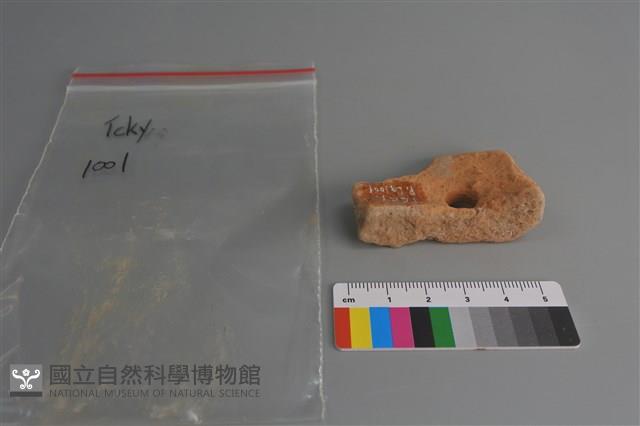 陶片藏品圖，第4張