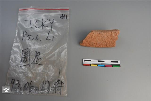 陶片藏品圖，第4張