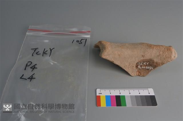 陶片藏品圖，第1張