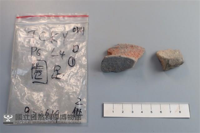 陶片藏品圖，第4張