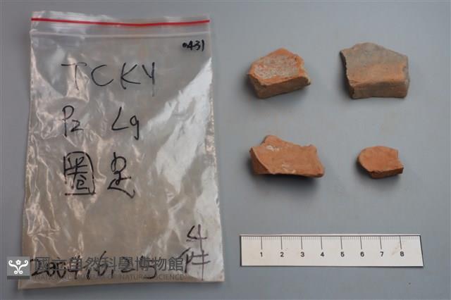 陶片藏品圖，第4張