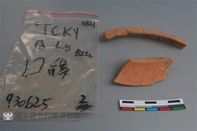 陶片藏品圖，第4張